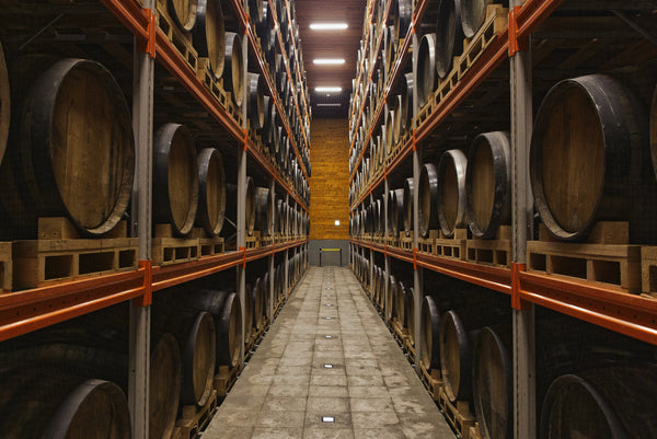 西酒造へ行ってきました!