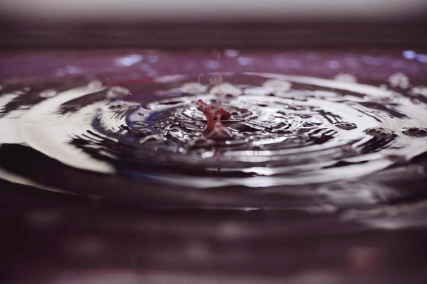 第二回 自然の揺らぎの中で道筋を立て 醸しはじめた雫の行方