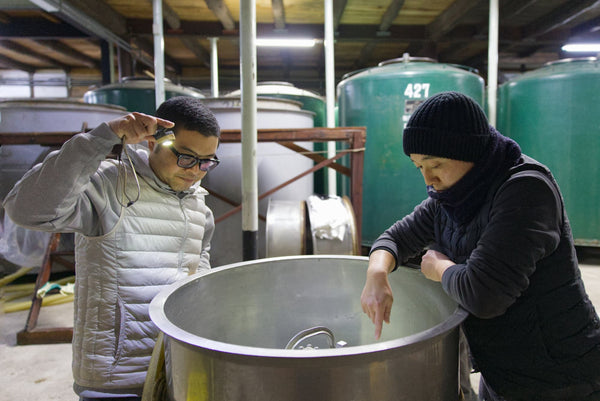 山廃造りに挑戦している大賀酒造へ話を聞きに行ってきました!