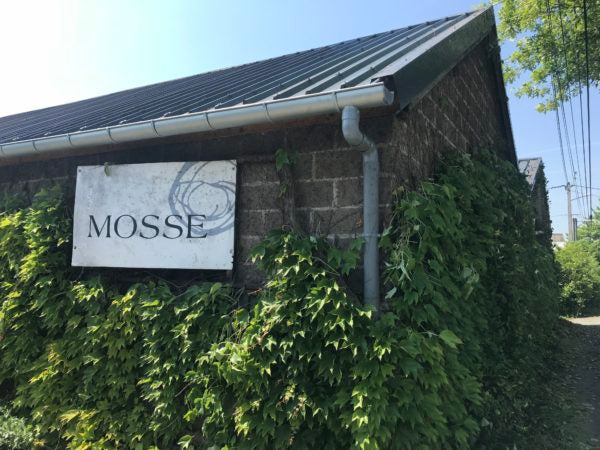 フランス行ってきました⑤ドメーヌ・モス