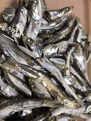 ＜癒されたい＞ながら飲み