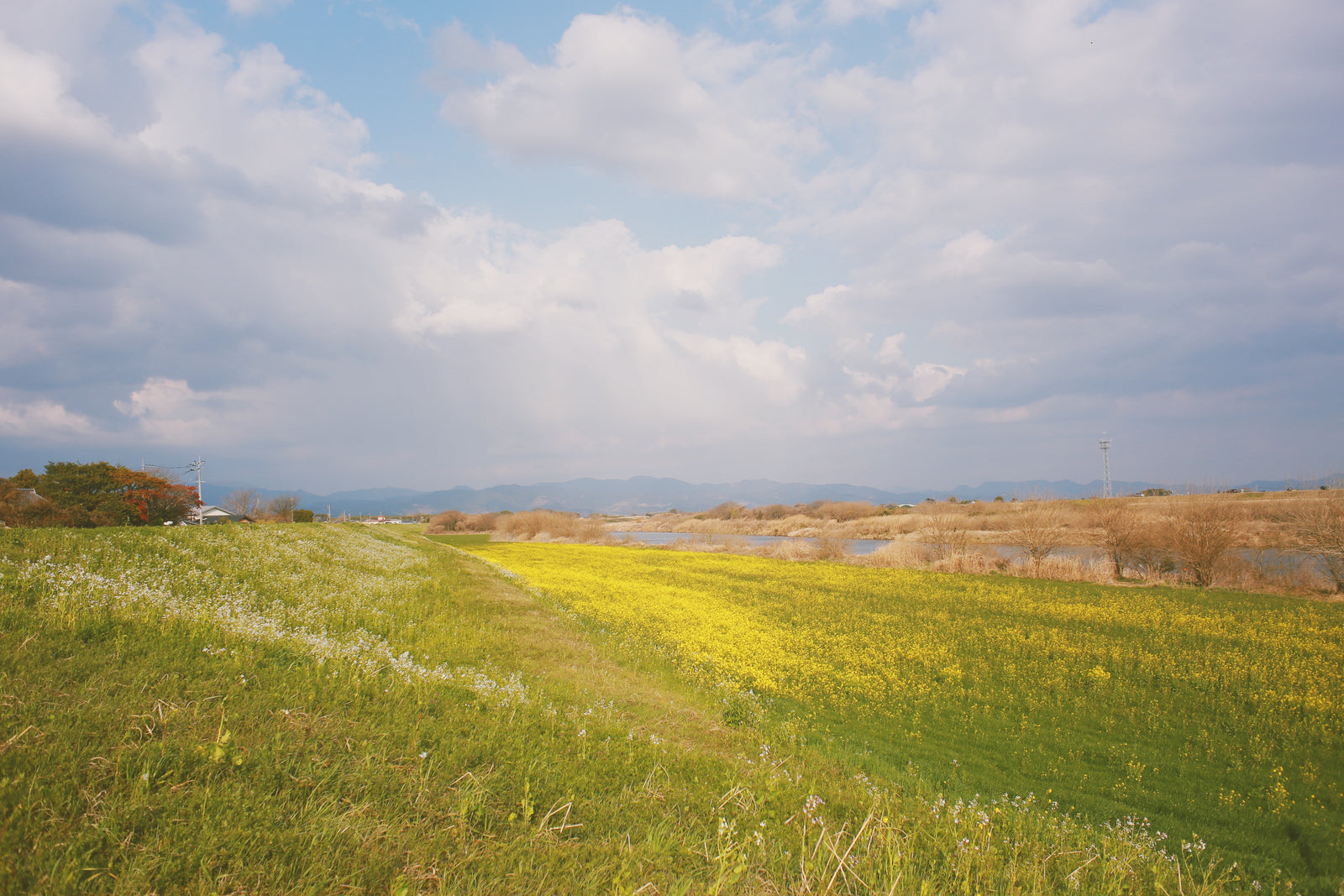 第六章　旅立ちと始まりの季節に