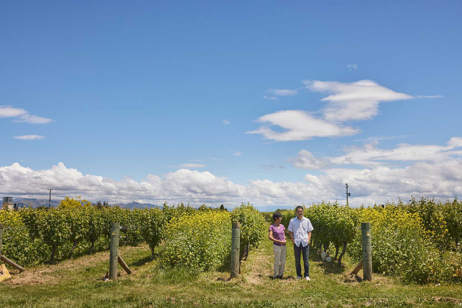 キムラセラーズ（ニュージーランド／マールボロ）