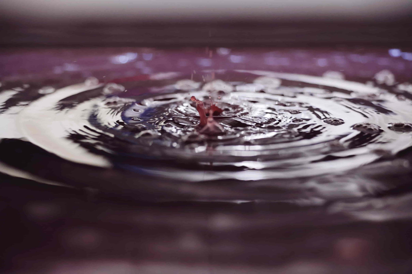 第二回 自然の揺らぎの中で道筋を立て 醸しはじめた雫の行方