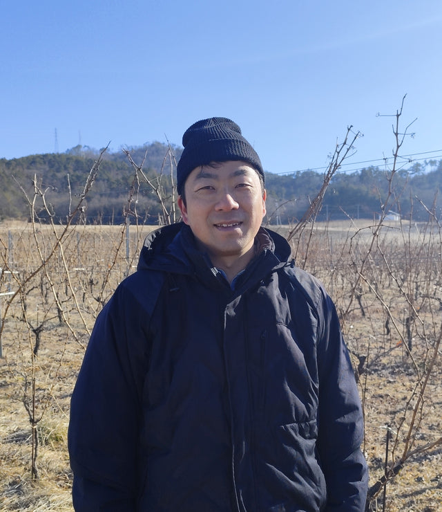 セイル・ザ・シップ・ワイナリー