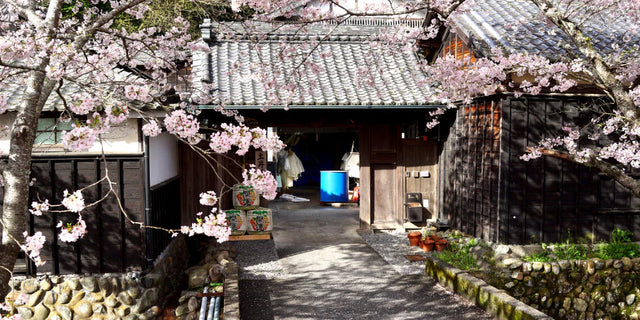 土井酒造場